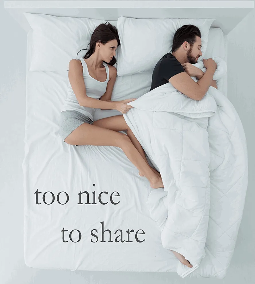 Pillowtex High End Down Comforter